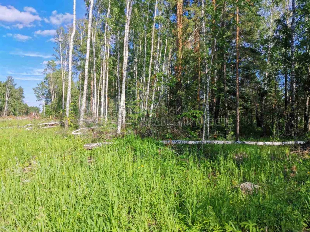 Карта тюнево нижнетавдинского района