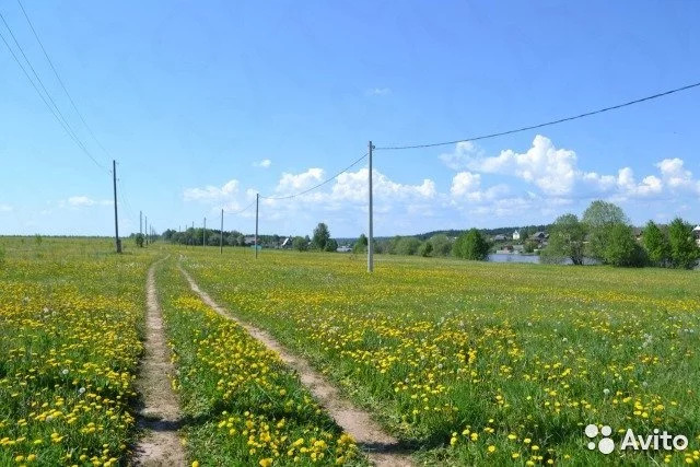 Погода сенькино