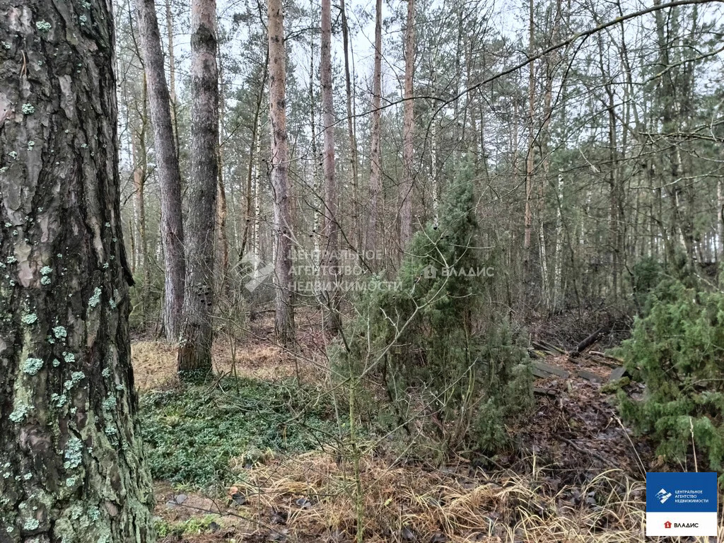 Продажа участка, Алеканово, Рязанский район - Фото 6