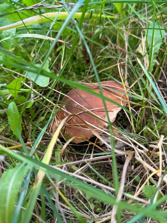 Продажа участка, Апрелевка, Наро-Фоминский район, ул. Кутузова - Фото 31