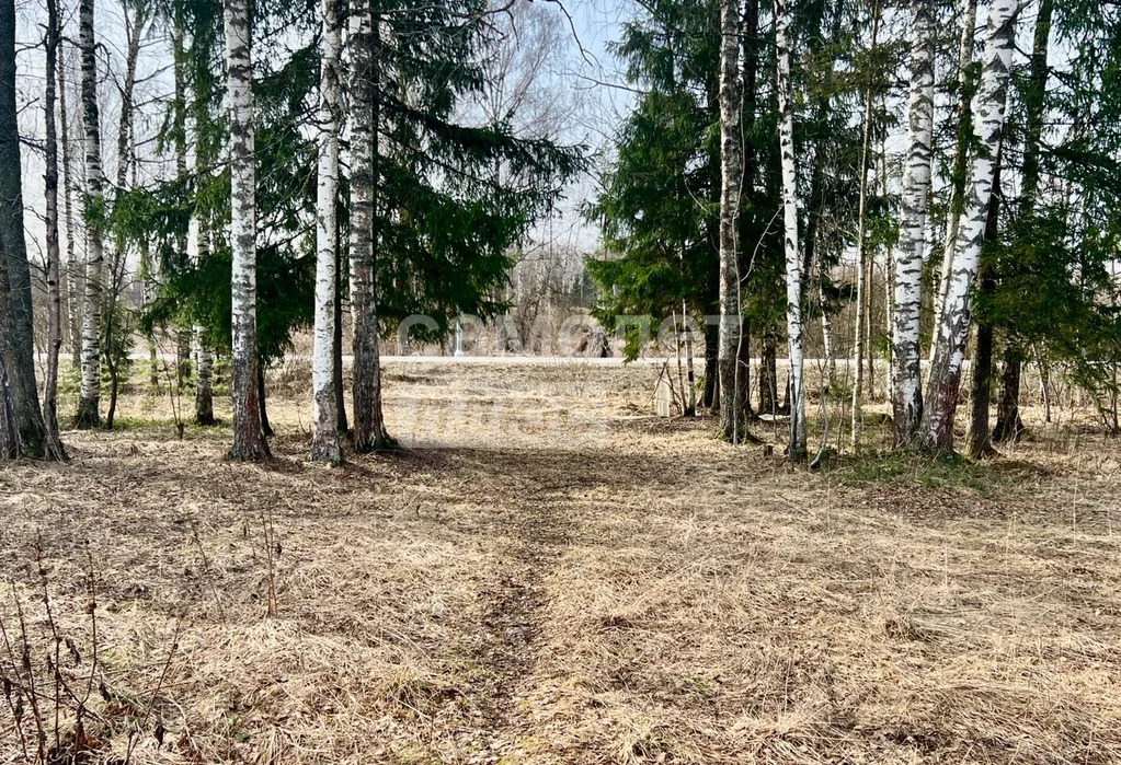Продажа участка, Талдом, Талдомский район - Фото 0