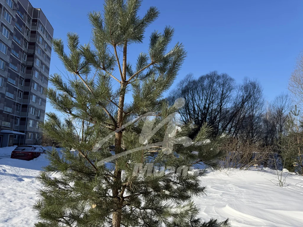 Продажа квартиры, Электроугли, Богородский г. о., ул. Маяковского - Фото 22