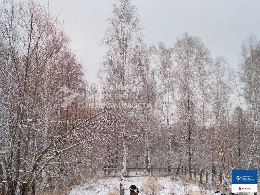 Продажа дома, Криуша, Клепиковский район, ул. Новая - Фото 10