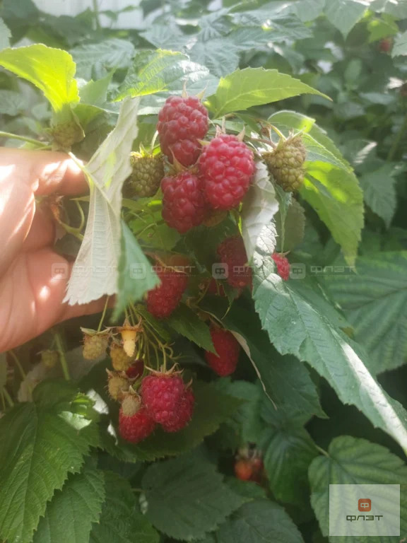 Продажа дома, Ленино-Кокушкино, Пестречинский район, ул. Камалеева - Фото 21