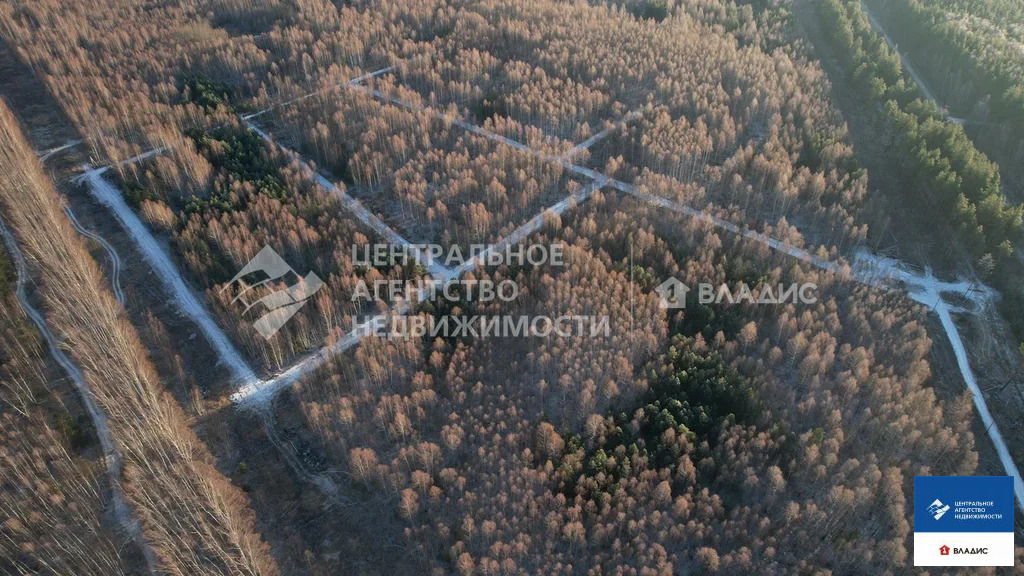 Продажа участка, Ярустово, Спасский район, ул. Лесная - Фото 23