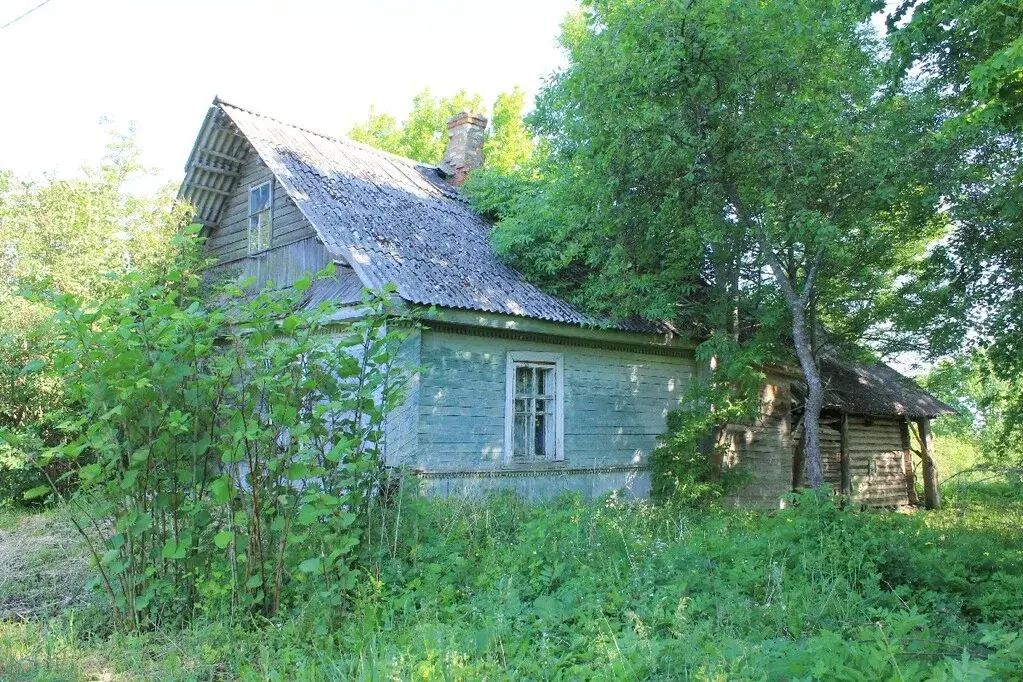 Купить Дом В Ветвеннике Гдовского Района