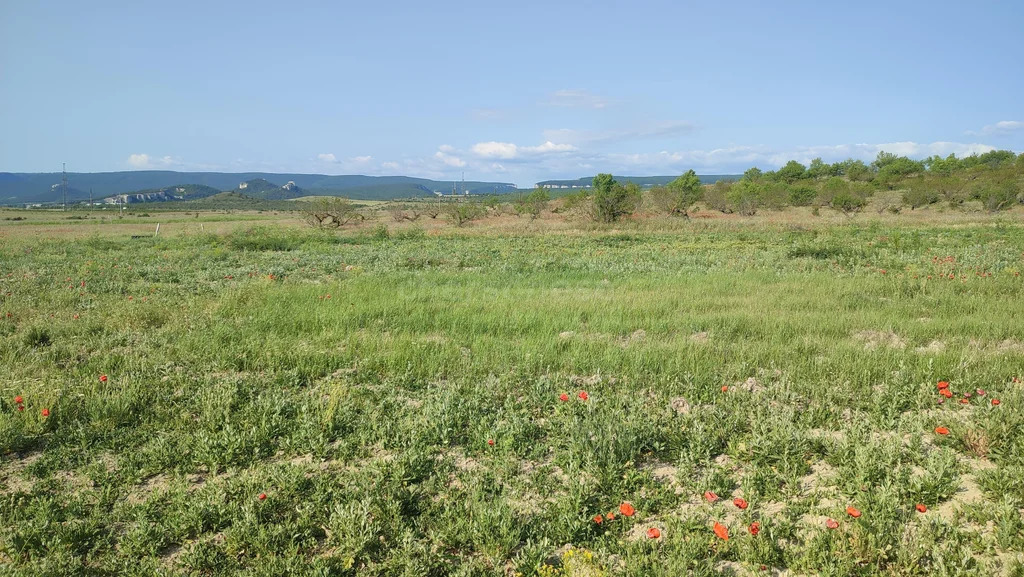 Продажа участка, Сирень, Бахчисарайский район, ул. Ялтинская - Фото 9