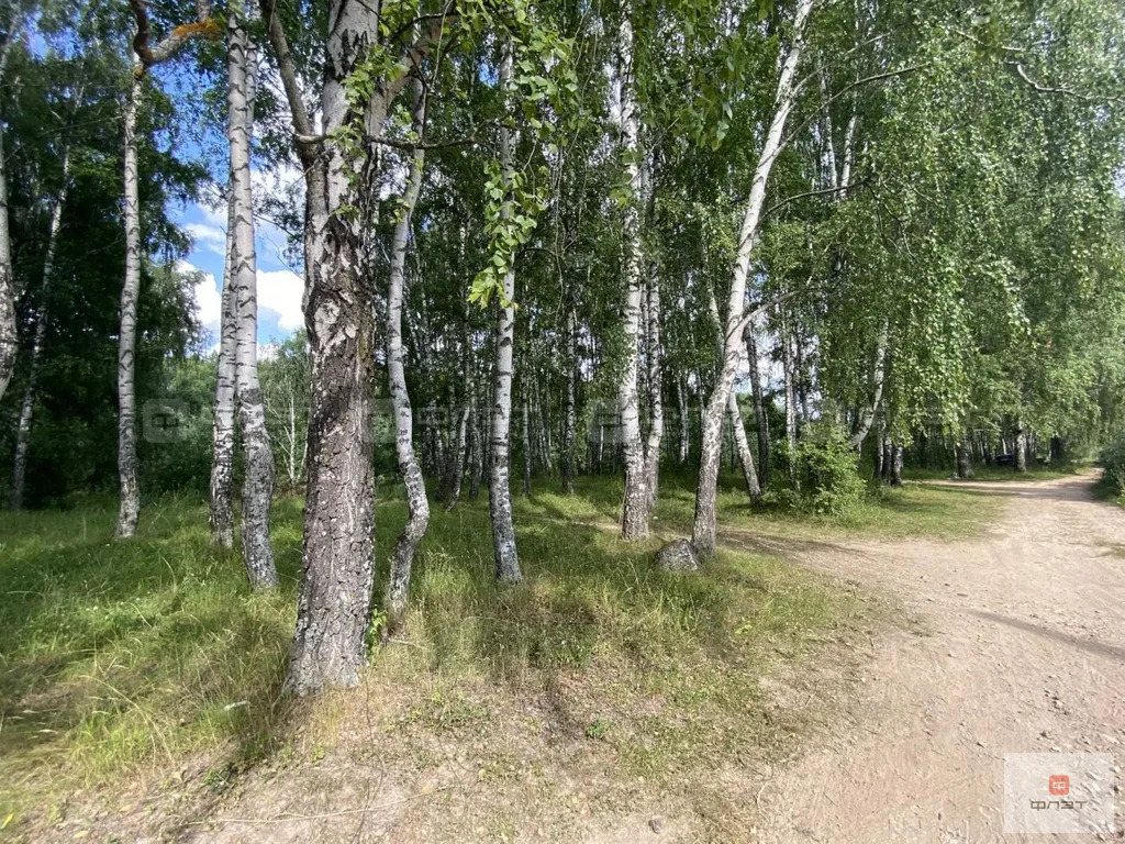 Продажа участка, Богородское, Пестречинский район, тер. СНТ. Нокса - Фото 9