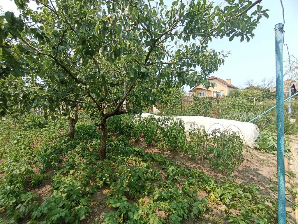 Продажа дома, Темрюк, Темрюкский район, ул. Кириллова - Фото 10