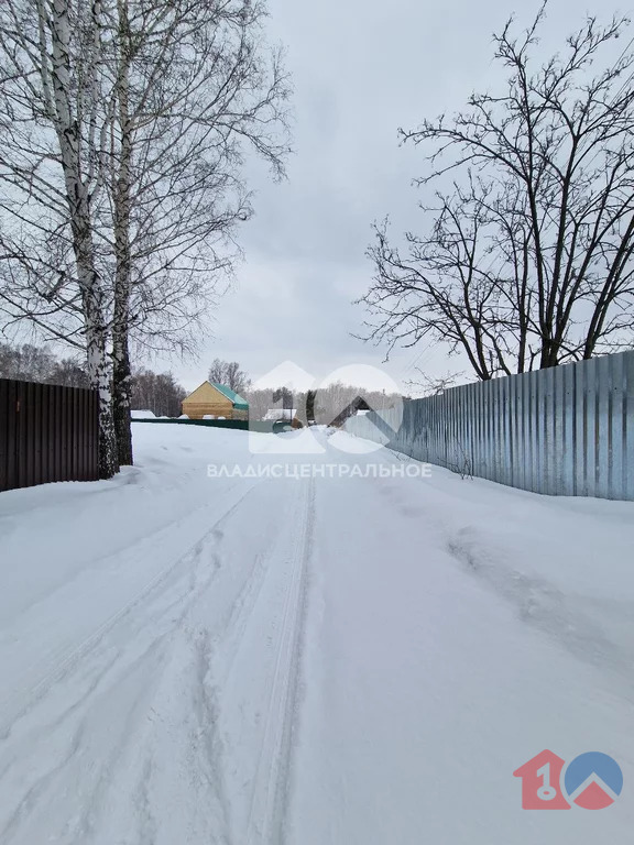 Новосибирский район, СНТ Надежда-2,  земля на продажу - Фото 2