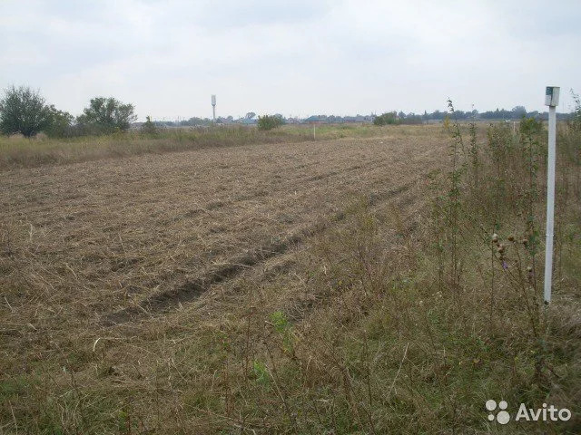 аренда земли 10 га