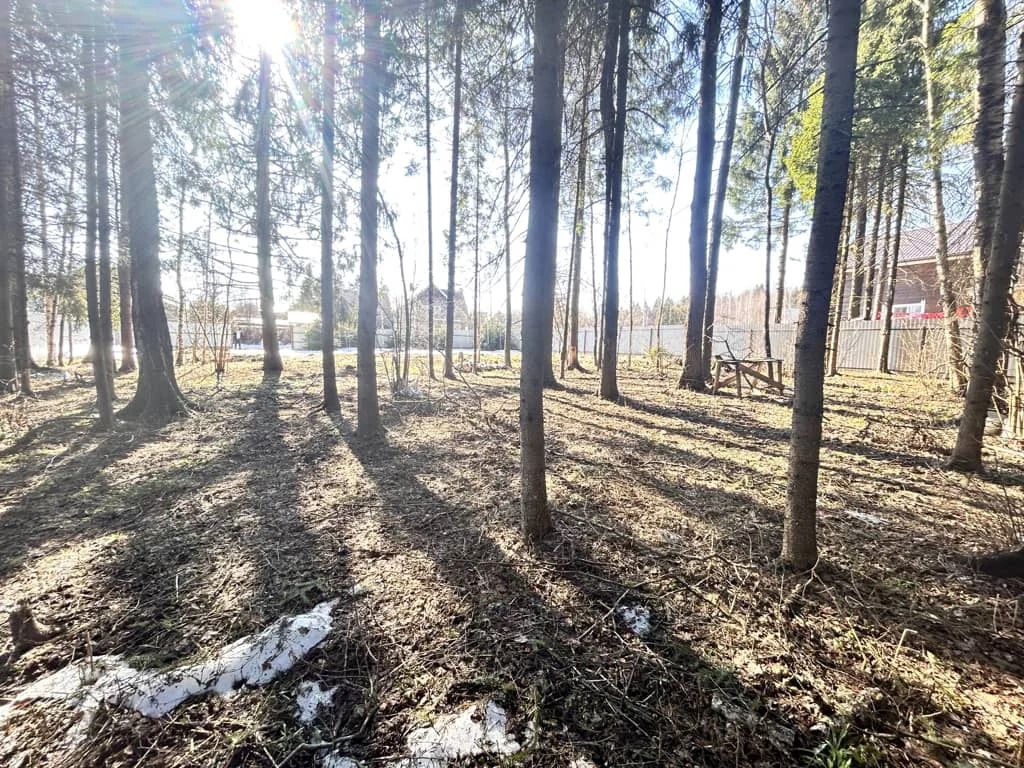 Продажа участка, Дмитровский район - Фото 8