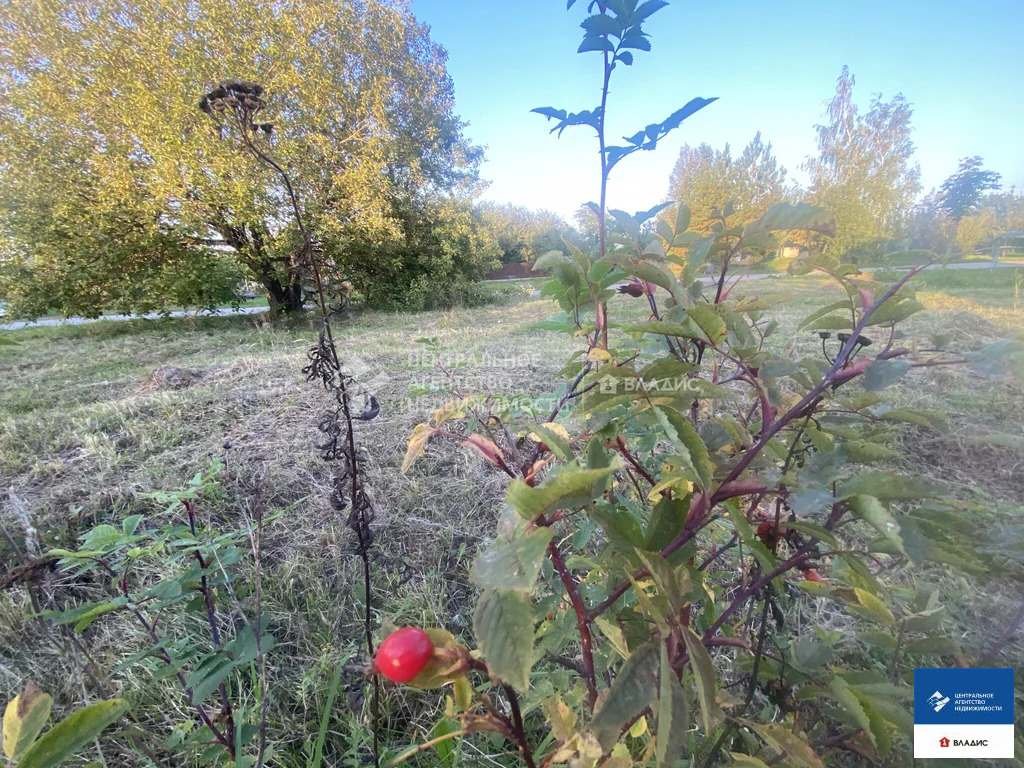 Продажа дома, Альяшево, Захаровский район - Фото 20