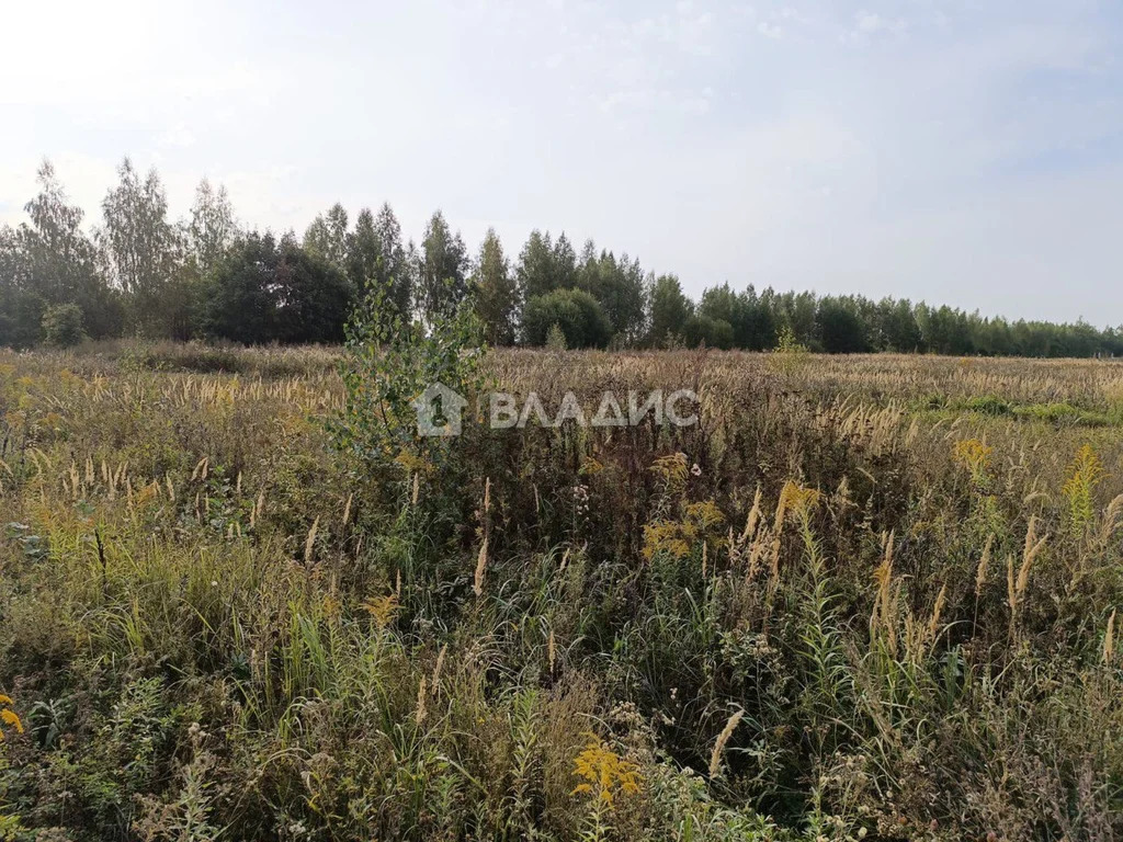 городской округ Владимир, Владимир, Ленинский район, территория ... - Фото 2