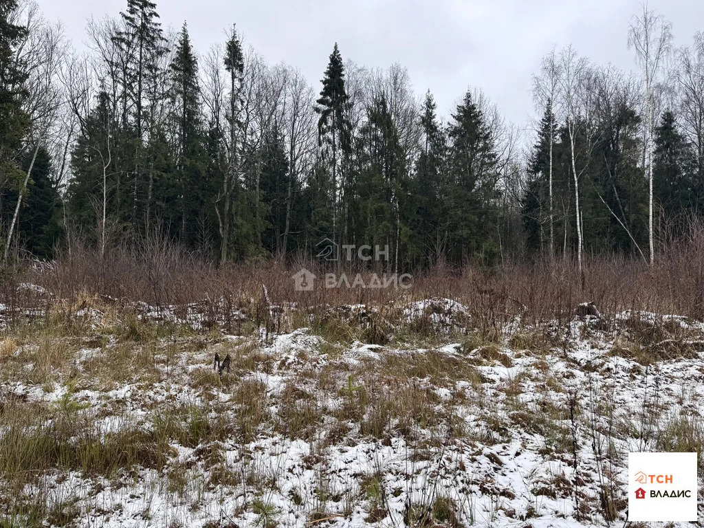 Продажа участка, Могильцы, Лотошинский район - Фото 3