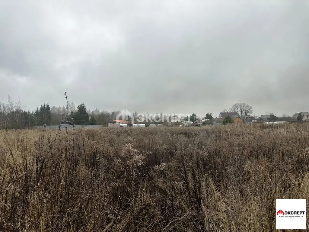 Земельный участок, д. Ефимово - Фото 2