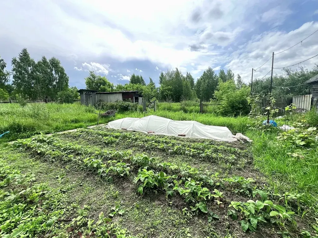 Дом в селе Куплиям - Фото 25