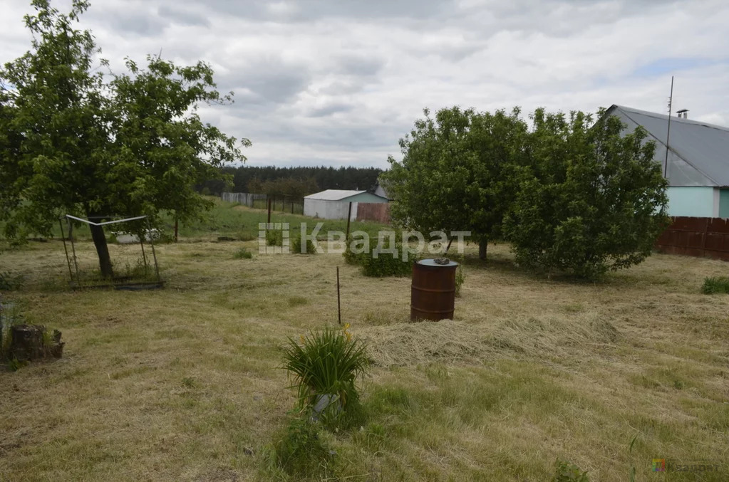 Продам родовую усадьбу - Фото 5