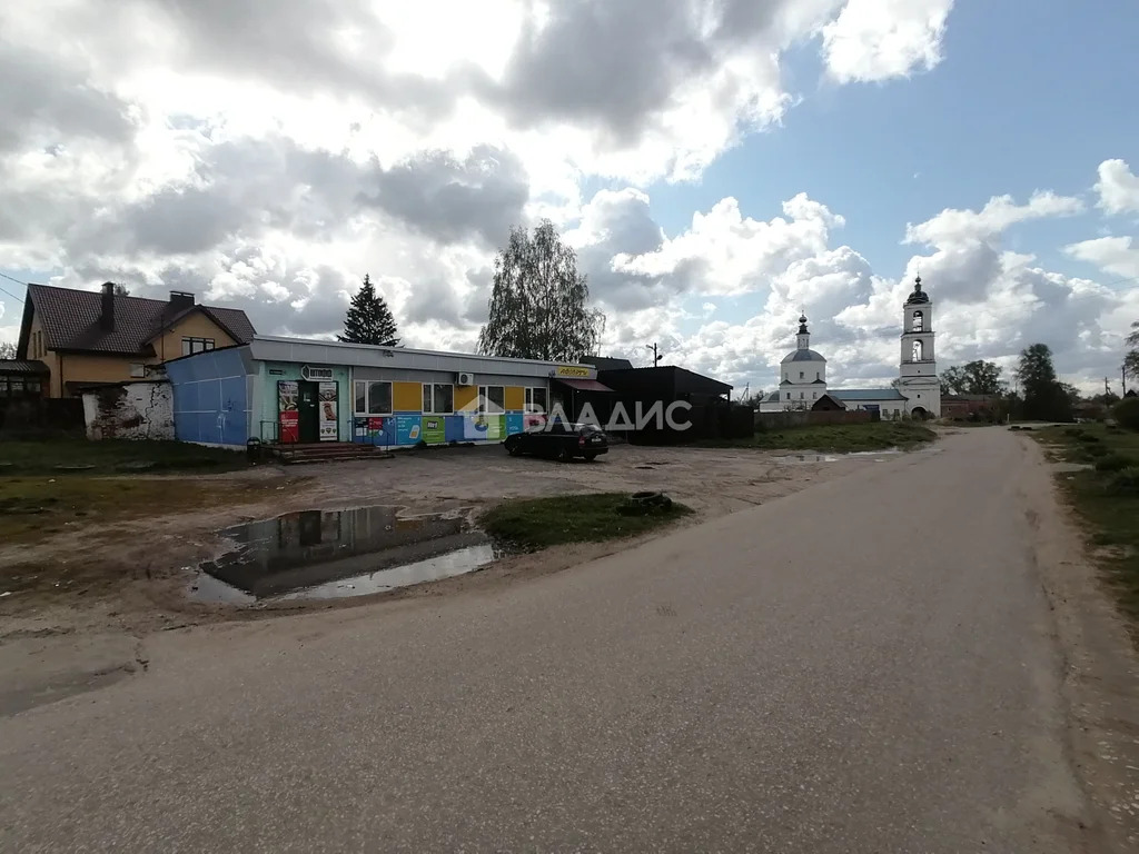 Суздальский район, село Добрынское, Пионерская улица,  дом на продажу - Фото 30
