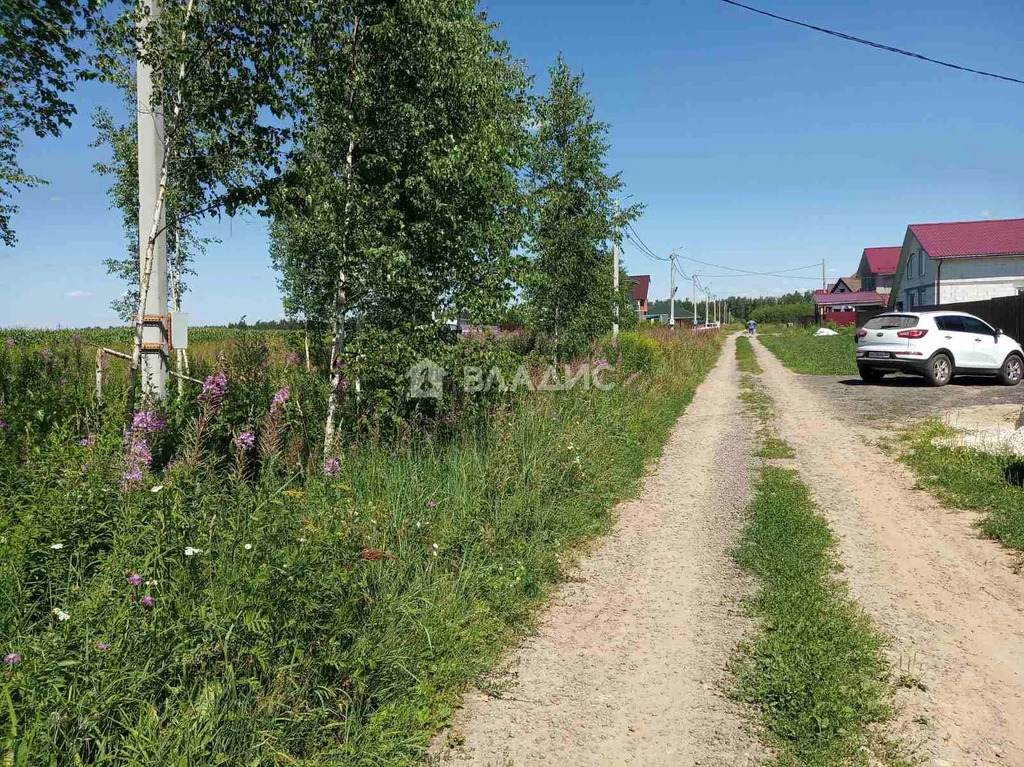 Собинский муниципальный округ, село Бабаево, Родниковая улица,  земля ... - Фото 7