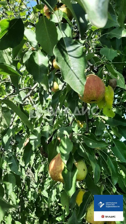 Продажа дома, Новомичуринск, Пронский район, садовое товарищество ... - Фото 25