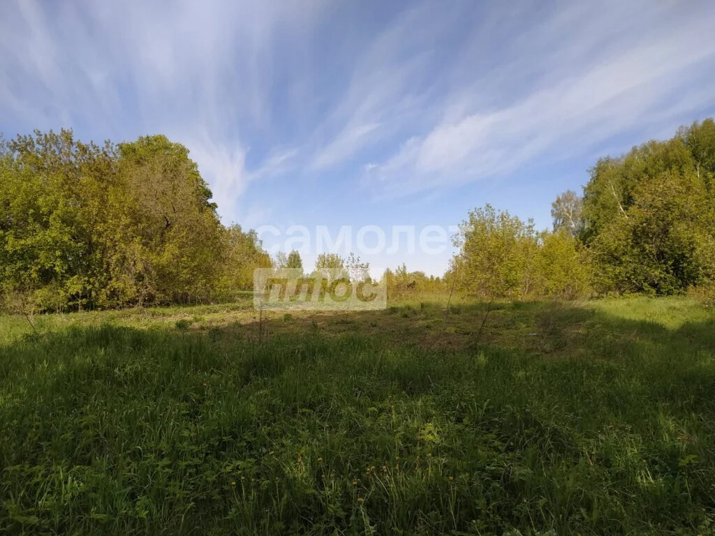 Продажа дома, Горный, Мошковский район, ул. Центральная - Фото 10