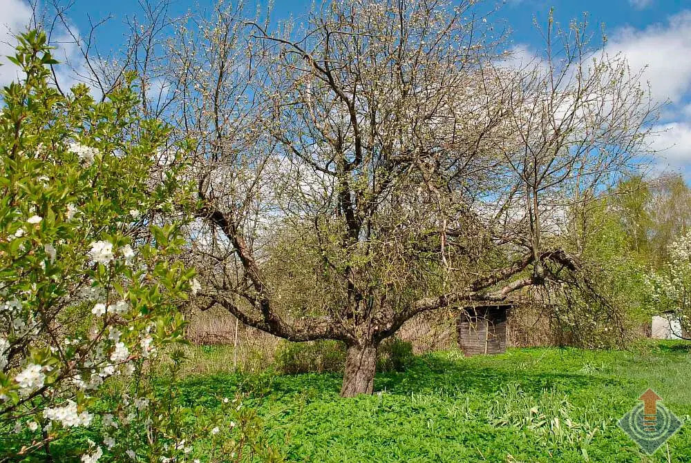 Продажа дома в д. Каурцево, ул. Железнодорожная, Наро-Фоминский г.о. - Фото 1