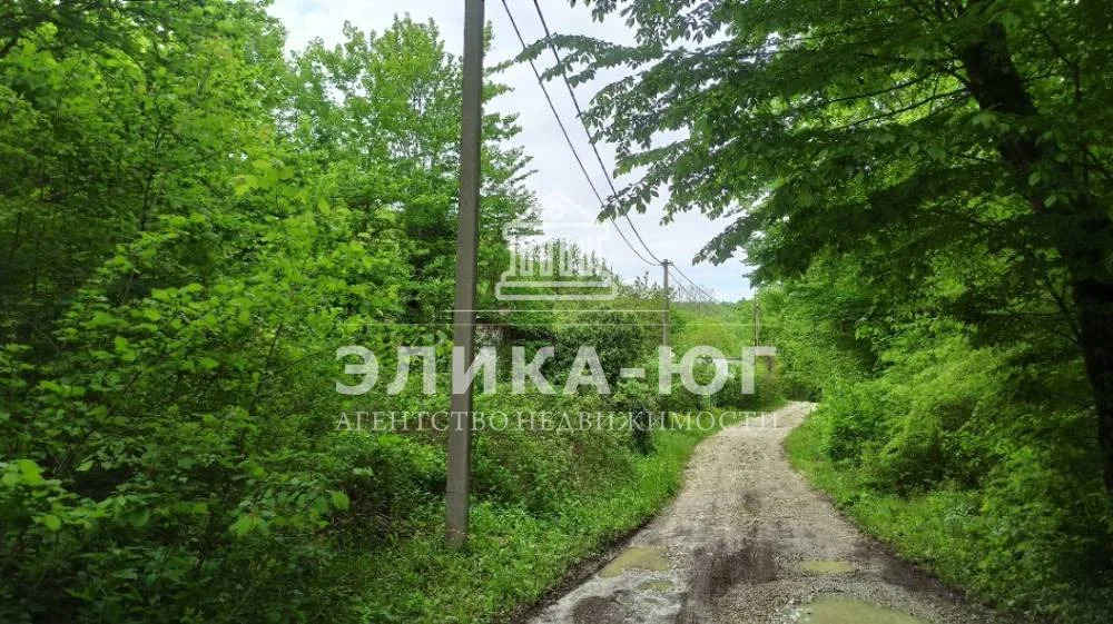 Продажа участка, Ольгинка, Туапсинский район, СНТ Успех - Фото 6