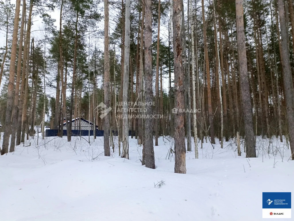 Продажа участка, Алеканово, Рязанский район - Фото 2