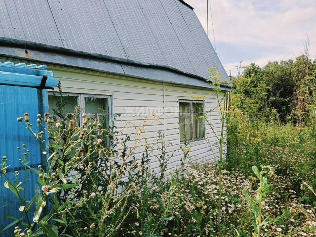 Продажа дома, Шагалово, Коченевский район - Фото 11