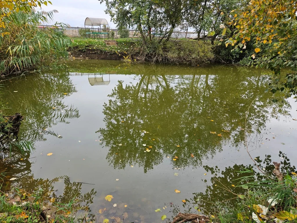 Продажа готового бизнеса, Абинск, Абинский район - Фото 4