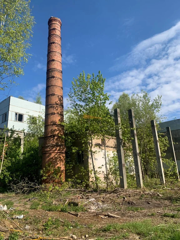 Продажа производственного помещения, Бахтеево, Раменский район, ул. ... - Фото 7