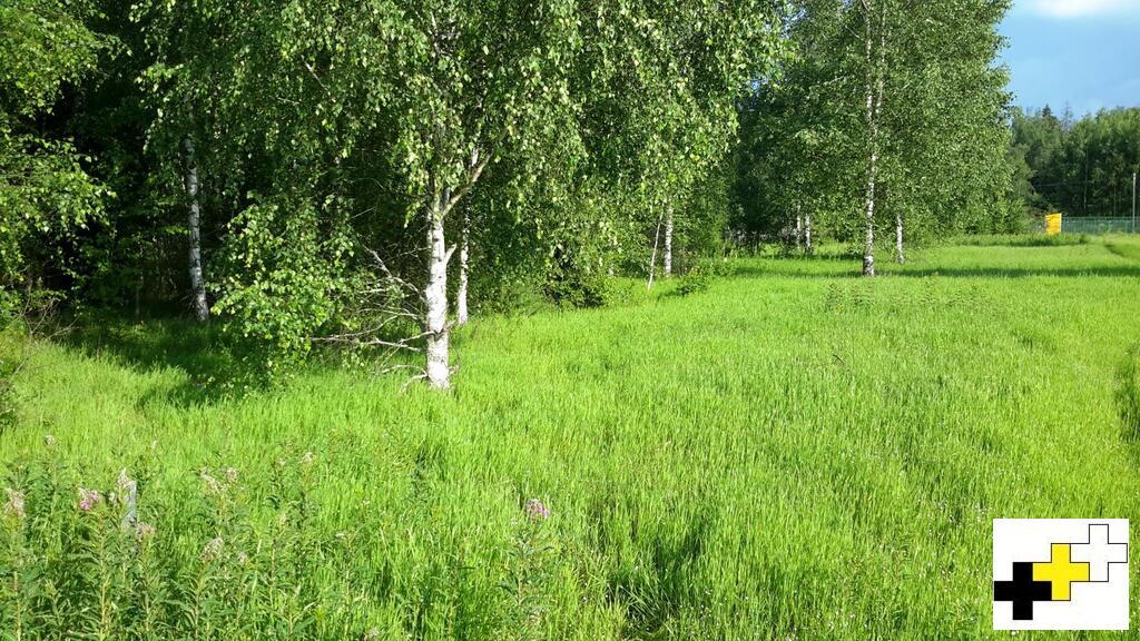 Купить Квартиру В Солнечногорском Районе Березки