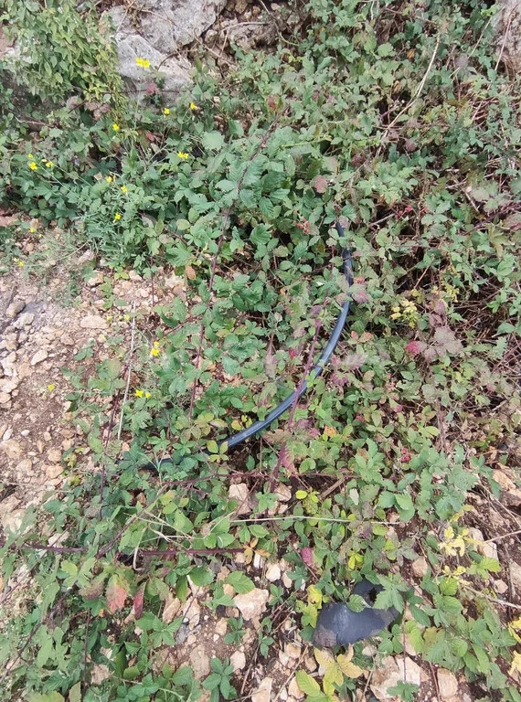 Продажа участка, Севастополь, территория СТ Дельфин - Фото 4