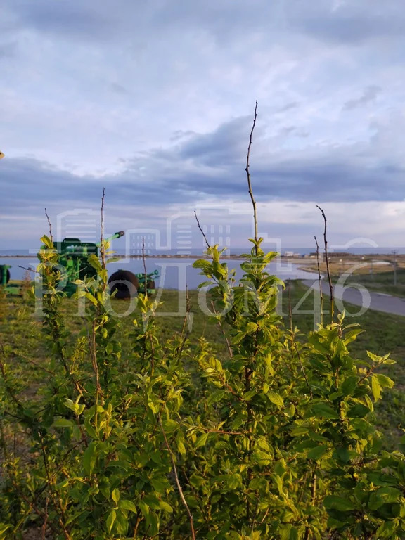 Продажа дома, Веселовка, Темрюкский район, ул. Черноморская - Фото 20