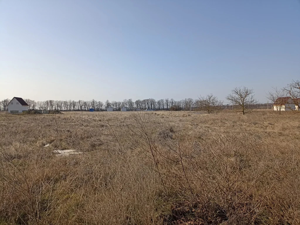 Продажа участка, Белый, Темрюкский район, ул. Молодежная - Фото 2