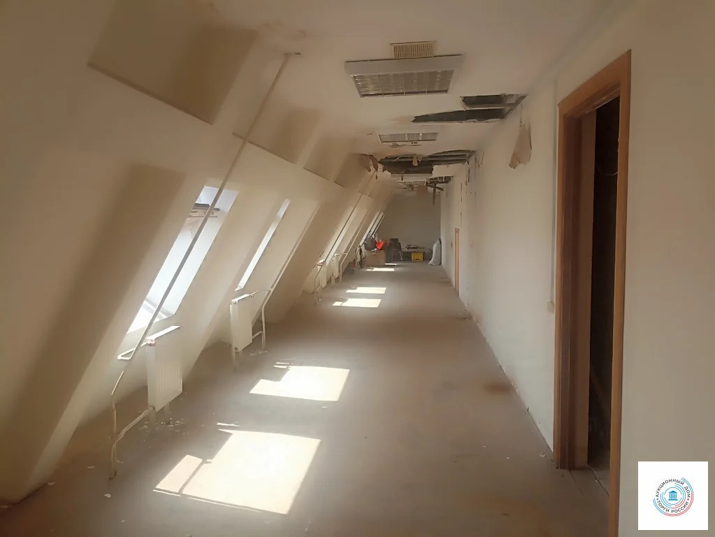 Помещение свободного назначения, 265.4 м - Фото 1