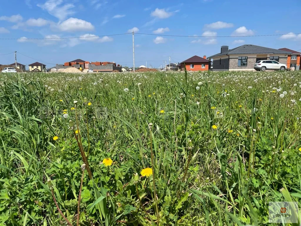 Продажа участка, Новое Шигалеево, Пестречинский район, ул. Марфуга ... - Фото 5