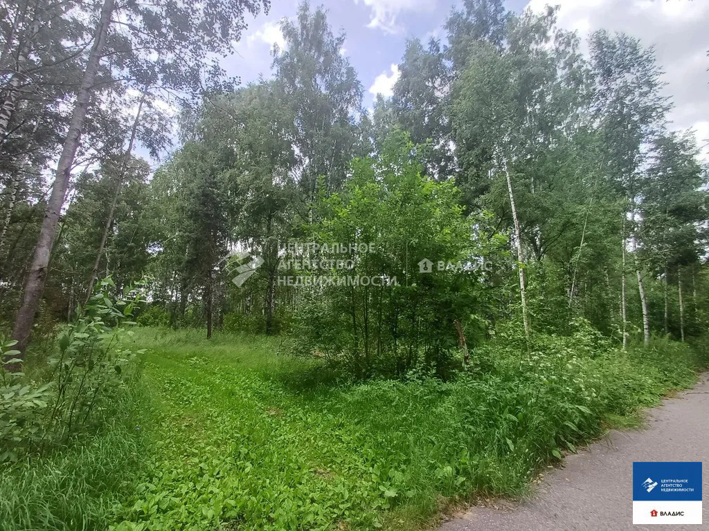Продажа участка, Ушмор, Клепиковский район - Фото 7