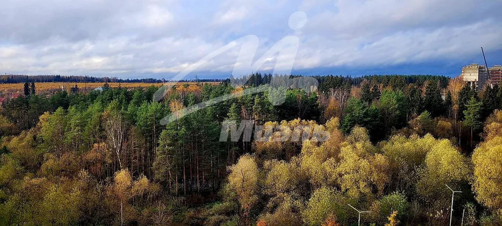 Продажа квартиры, Химки, ул. Первомайская - Фото 3