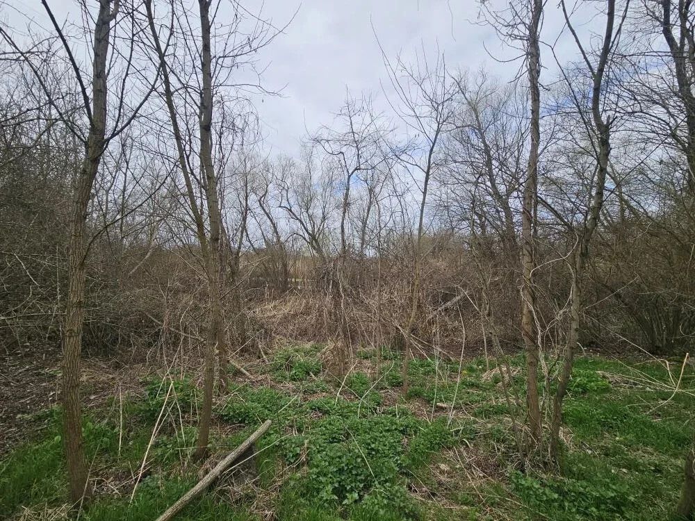 Продажа участка, Мингрельская, Абинский район - Фото 13