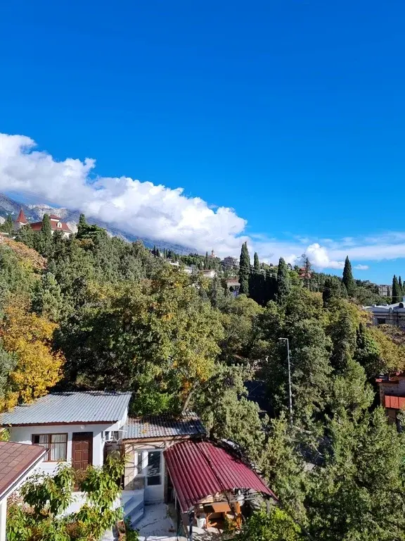 1-к. квартира, 30 м, 2/3 эт. - Фото 13