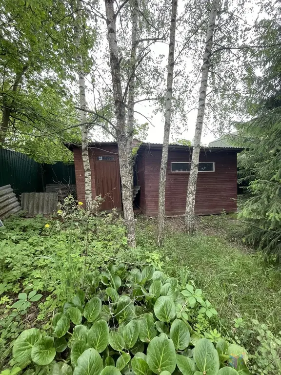 Продаю дачу 60 кв. м СНТ «Плутон», рядом с д. Волково Ступинский район - Фото 10