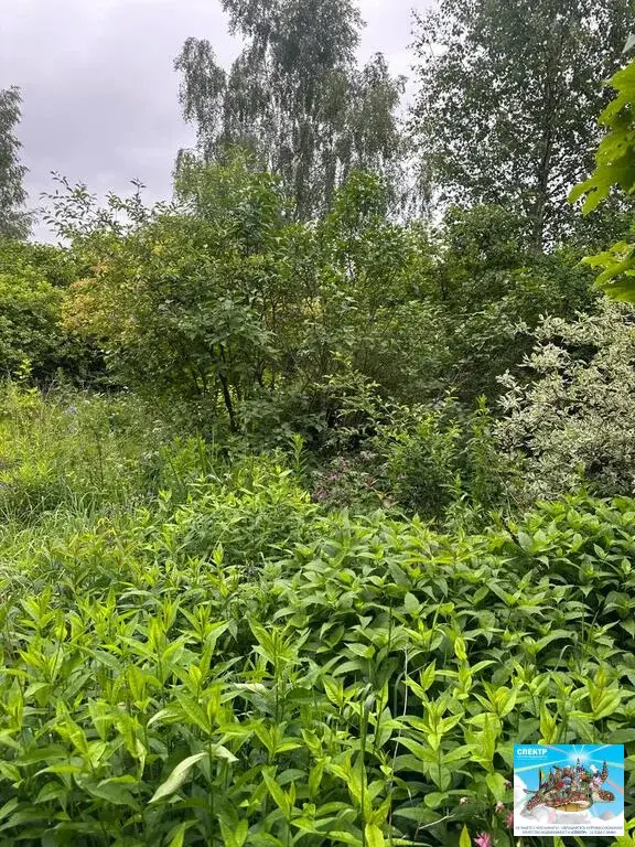 СНТ Надежда, участок 5 соток - Фото 3