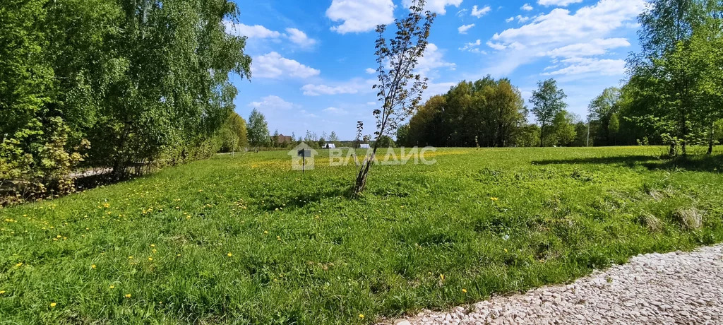 Петушинский район, деревня Пекша, Городок-Левитановская улица, земля . - Фото 1