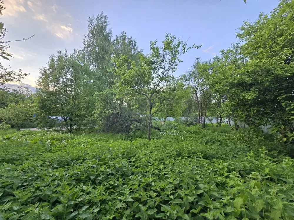 Продаю дачу в с. Покровское - Фото 13
