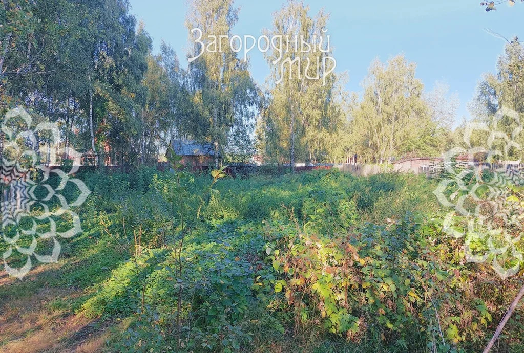 Продам участок, Горьковское шоссе, 40 км от МКАД - Фото 5