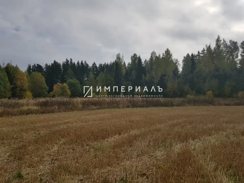 Продается земельный участок в д. Трубицыно Боровского района - Фото 0