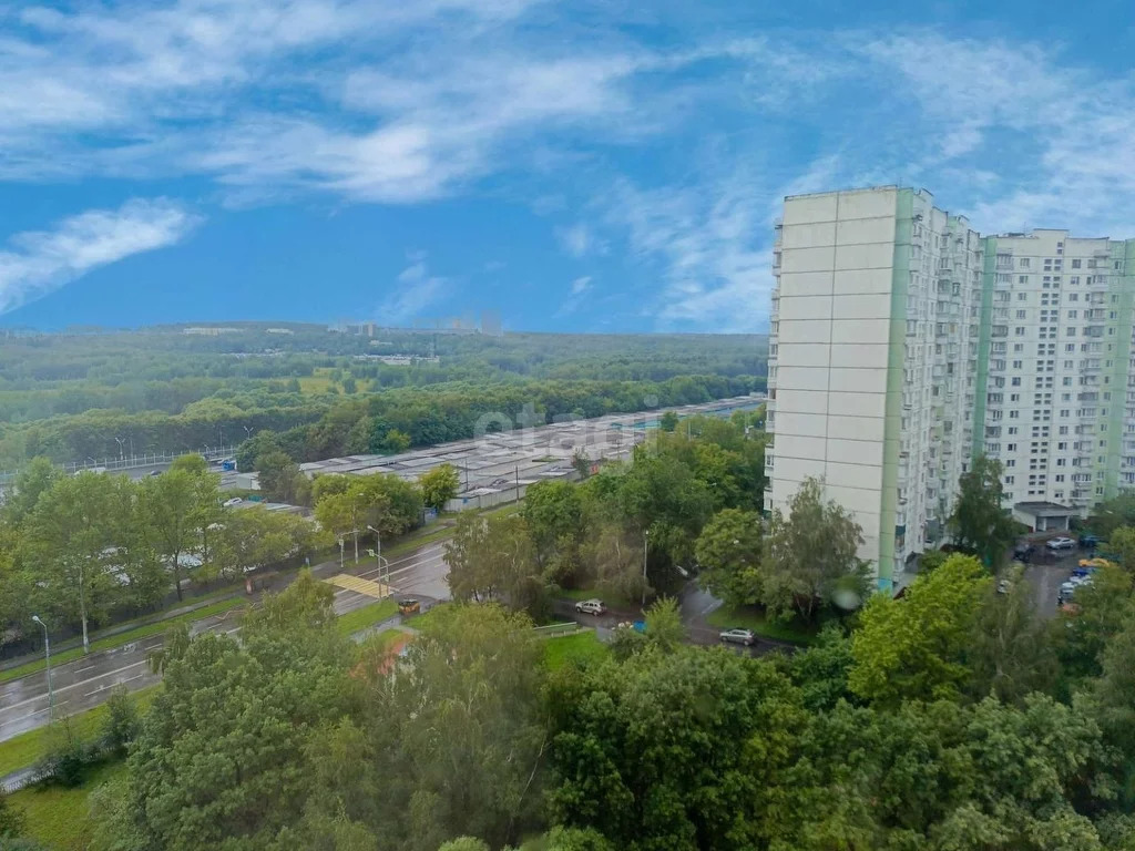 Продажа квартиры, м. Ясенево, Инессы Арманд, 8/17 - Фото 11