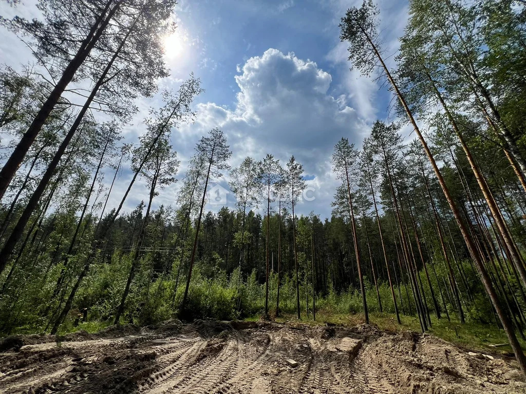 Всеволожский район, деревня Васкелово, Лемболовская улица,  земля на ... - Фото 5